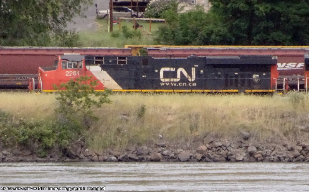 CN 2261